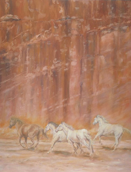 Canyon Run