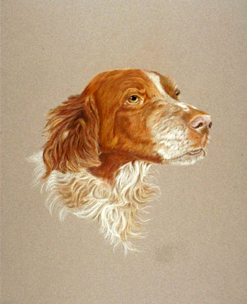 Sam